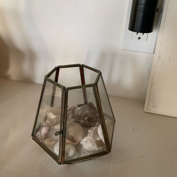 Glass encasement - Picture 2 of 2